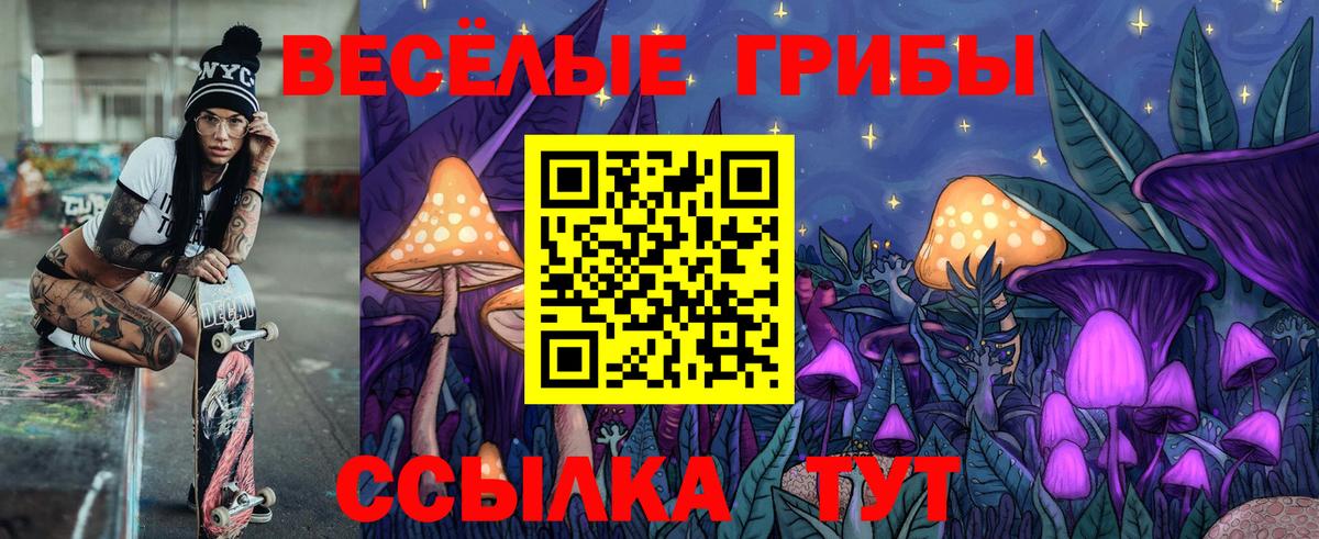 Псилоцибиновые грибы Cubensis Гай