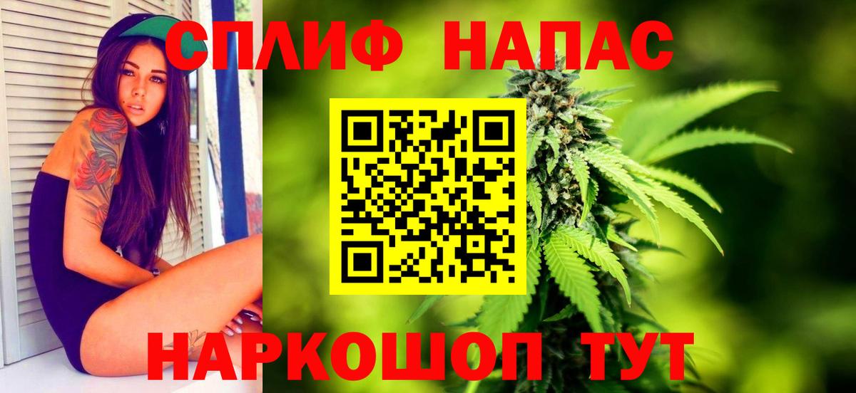 МАРИХУАНА ГИДРОПОН Гай